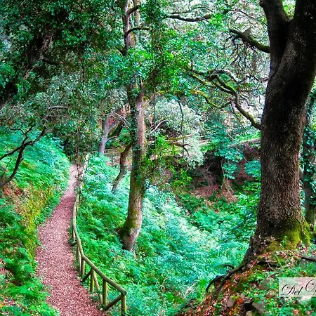 Del Valle Obeso Apartmán Pimiango